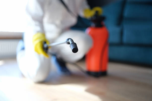 Best Mold Documentation for Insurance Claims  in Mohnton, PA