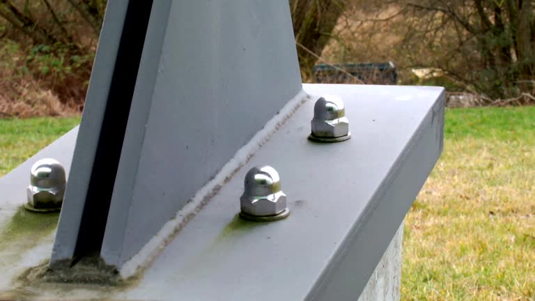 Forensic Mold Investigation in Mohnton, PA